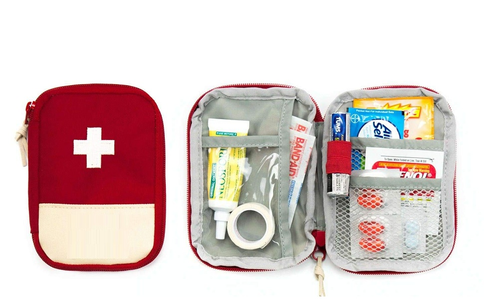 cruise tour health kit